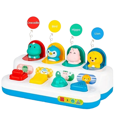 Jouet Pop-Up interactif - HUANGER