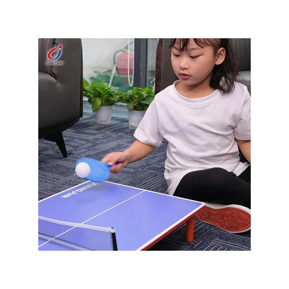 Mini table de ping-pong