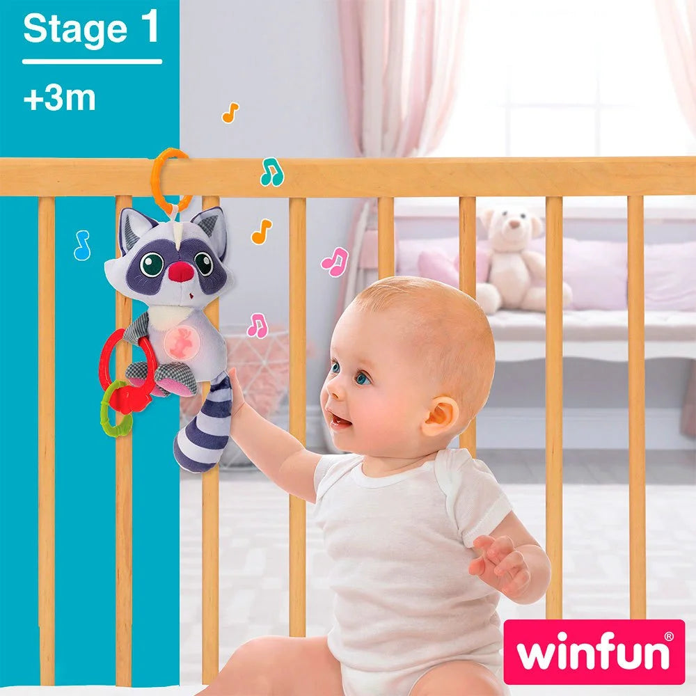 Doudou raton laveur – Winfun