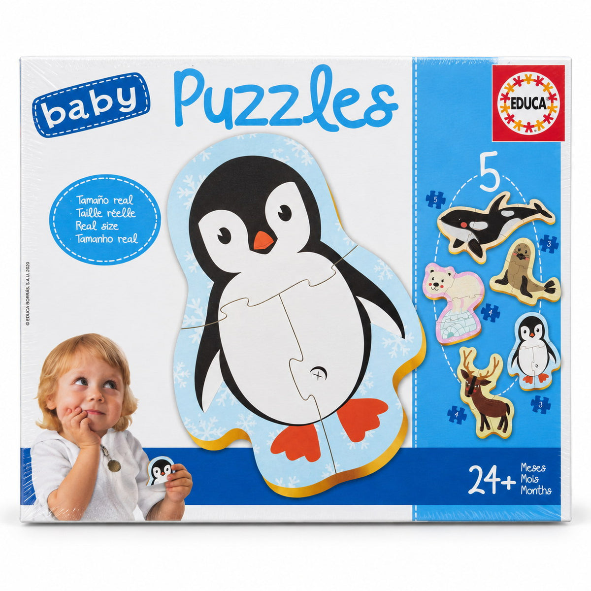 Boîte Educa Baby Puzzles Animaux polaires : 5 puzzles de 3 à 5 pièces — manchot, ours polaire, orque, otarie et renne, dès 24 mois