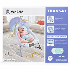 Boîte française du transat Mon Bébé : siège fixe, vibrations, 0+ et 18 kg maximum