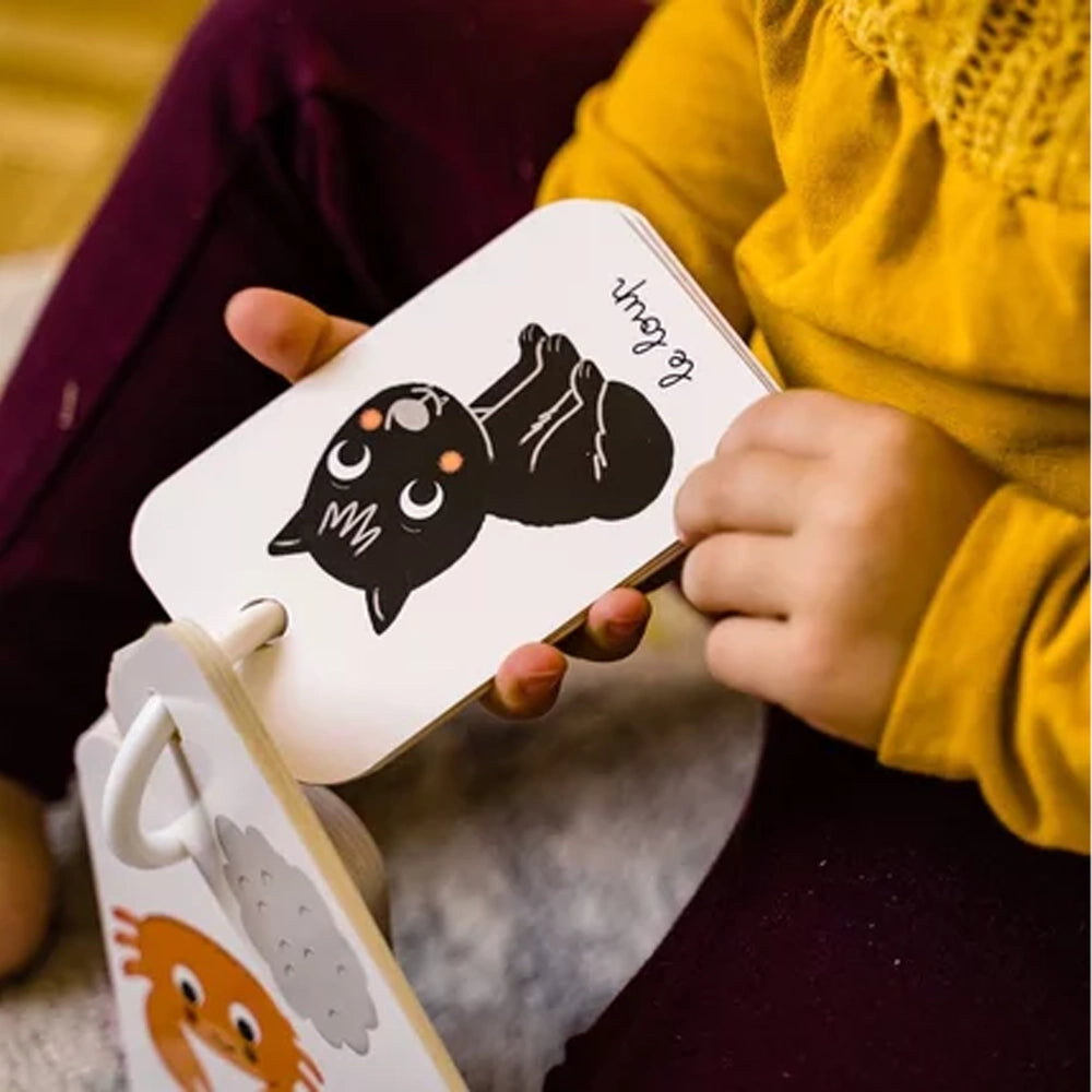 Enfant qui tourne les cartes de l'imagier des couleurs Petit Nathan