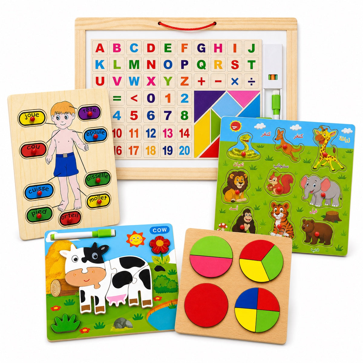 Pack de 5 puzzles en bois éducatifs : tableau alphabet et tangram, corps humain en français, animaux en arabe, vache et fractions